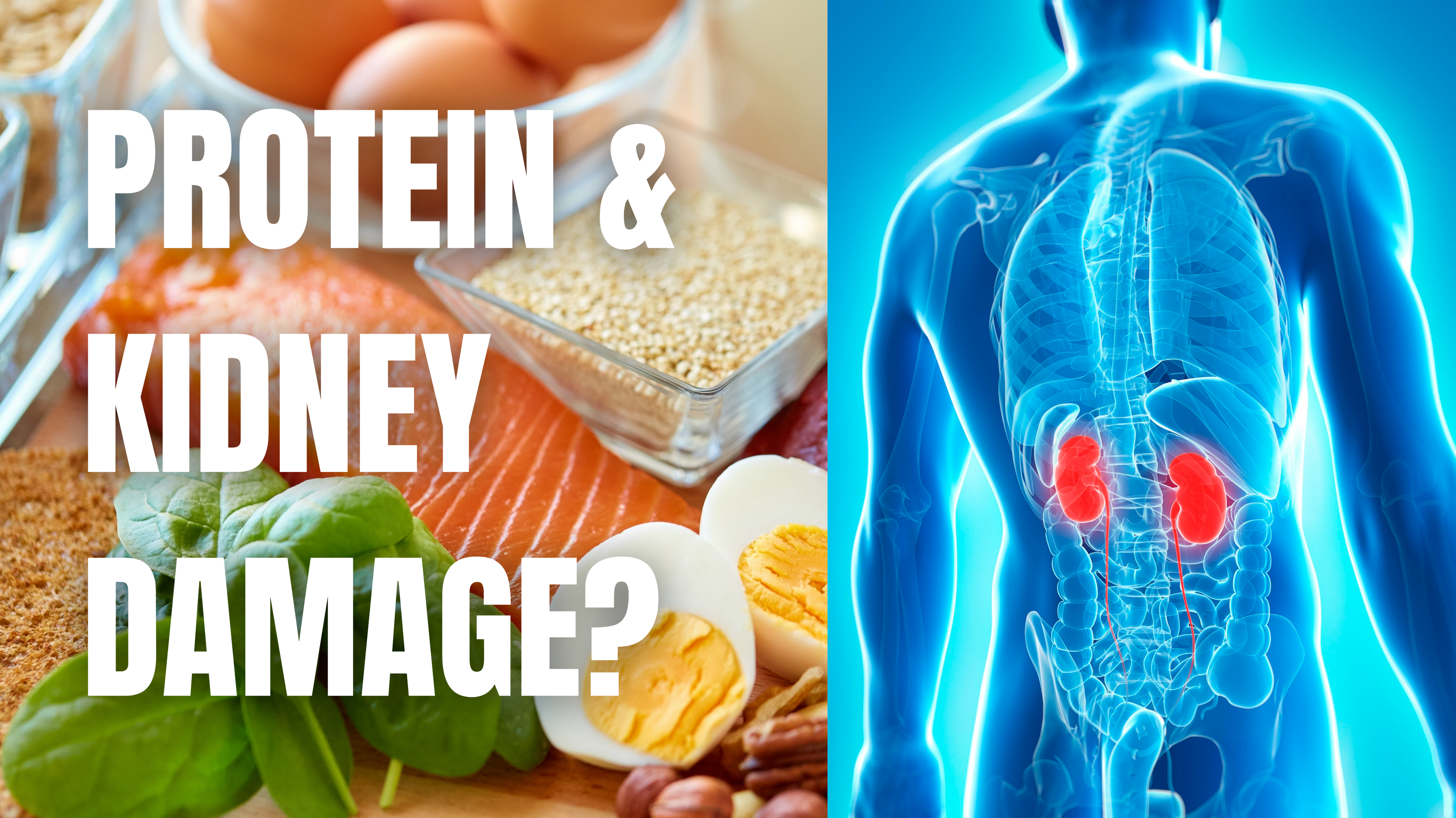 Is Protein Harming Your Kidneys? Living With Chronic Kidney Disease